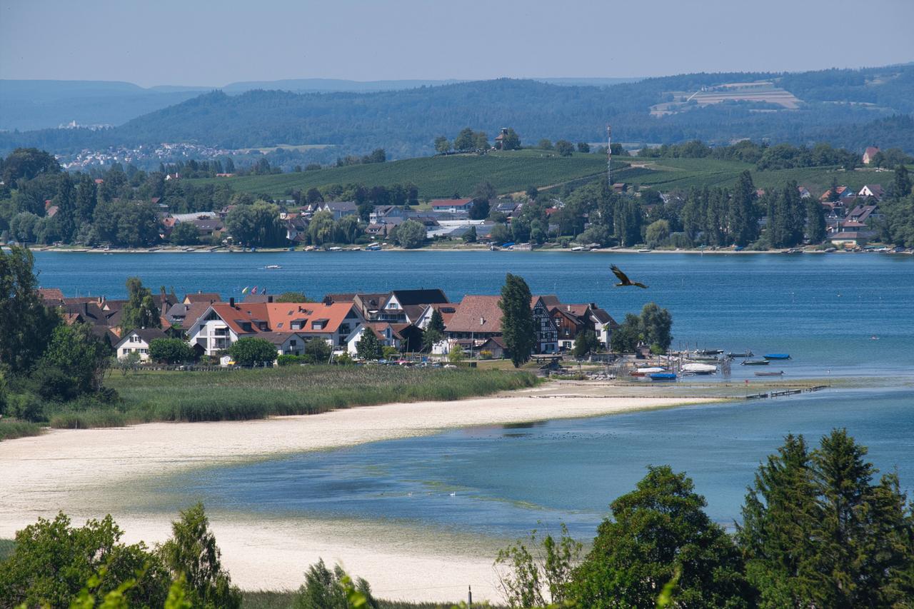 Sandige Küstenlinie mit Niedrigwasser am Untersee bei Ermatingen, Thurgau.