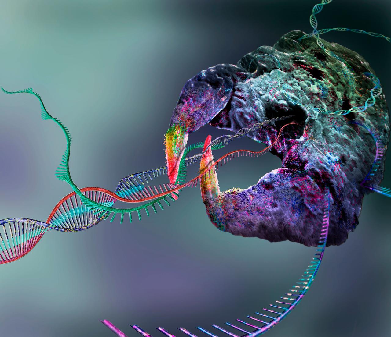 Farbige Illustration eine CRISPR-Cas9-Proteins. Eine violett-grüne Wolke aus der sich DNA-Stränge winden. Farbige Illustration eine CRISPR-Cas9-Proteins. Eine violett-grüne Wolke aus der sich DNA-Stränge winden.