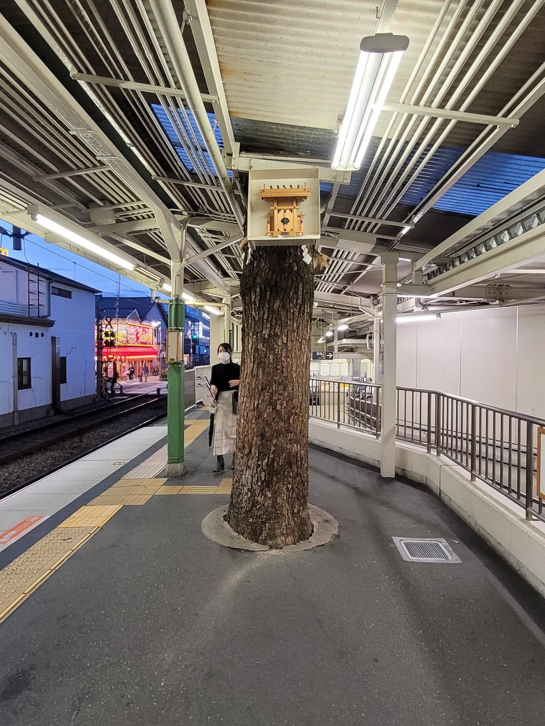 Aus einem Bahnsteig ragt ein Baumstamm empor, in einem Kasten in etwa zweieinhalb Meter Höhe ist daran ein Kultgegenstand aus Holz angebracht. Aus einem Bahnsteig ragt ein Baumstamm empor, in einem Kasten in etwa zweieinhalb Meter Höhe ist daran ein Kultgegenstand aus Holz angebracht.