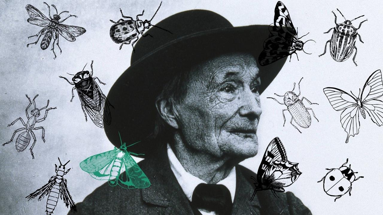 Collage vom Portrait Jean-Henri Fabre mit Insekten. Collage vom Portrait Jean-Henri Fabre mit Insekten.