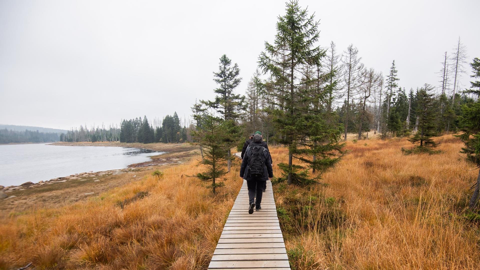 Wanderer laufen auf einem Steg an der Talsperre Oderteich im Nationalpark Harz Wanderer laufen auf einem Steg an der Talsperre Oderteich im Nationalpark Harz