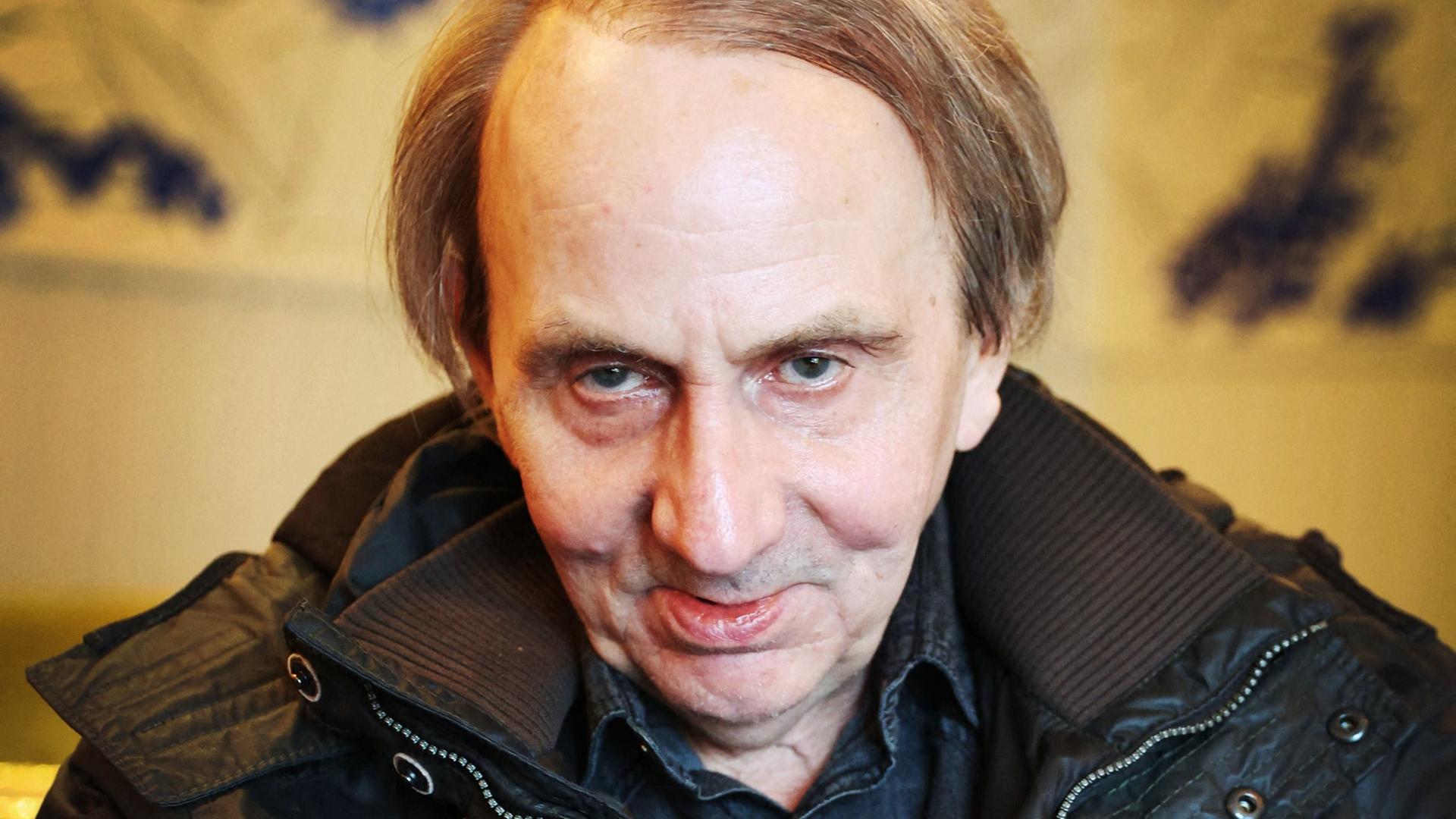 Gerichtsstreit um Porno-Doku: Michel Houellebecq: "Ein Tier hätte mehr Rechte"