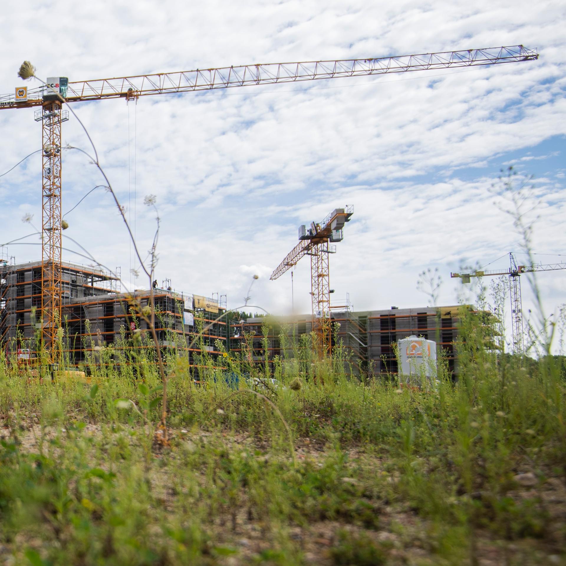 Mehrfamilienhäuser werden in einem neuen Wohnquartier gebaut. Zu sehen sind Gebäude im Rohbau und ein Kran, davor Wiese. 