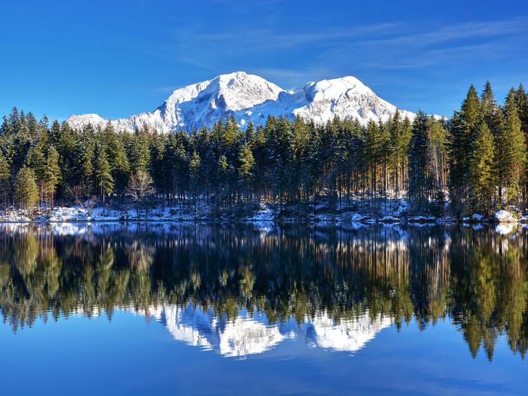 Ein Foto von einem klaren See, in dem sich Bäume spiegeln. Im Hintergrund ist ein Berg mit Schneekuppe zu sehen.
