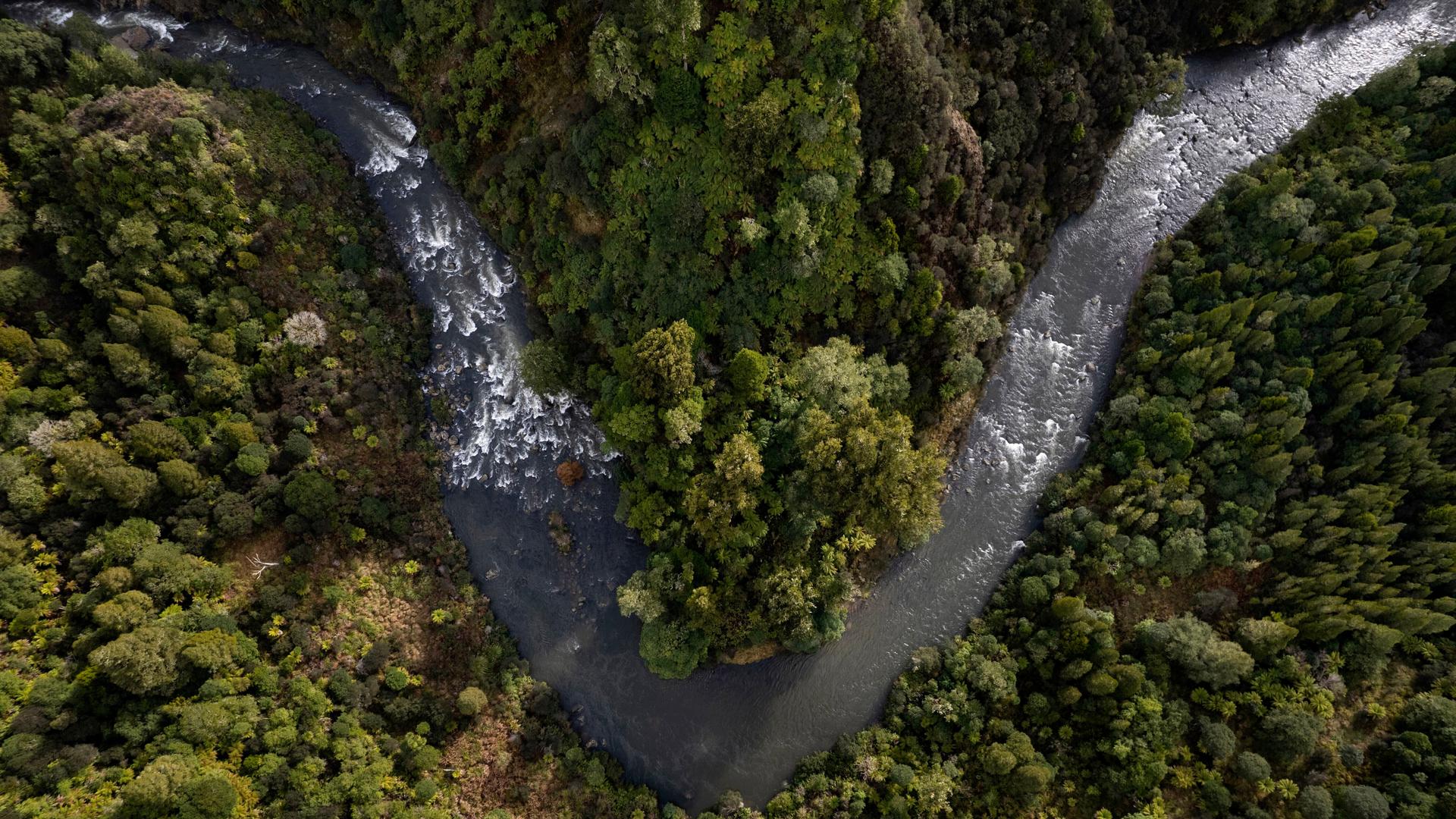 Der Whanganui River in Neuseeland ist inzwischen eine eigenständige juristische Person, die sich selbst gehört. Der Whanganui River in Neuseeland ist inzwischen eine eigenständige juristische Person, die sich selbst gehört.
