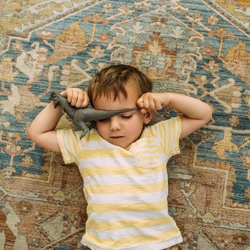 Ein Junge liegt mit dem Rücken auf einem Teppich und hält einen Spielzeugdinosaurier über der Stirn.