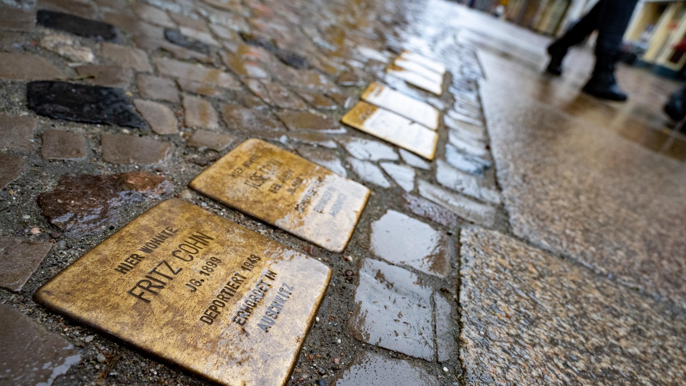 Stolpersteine, aufgenommen in der Ossenreyerstraße in der Altstadt von ...</p>

                        <a href=
