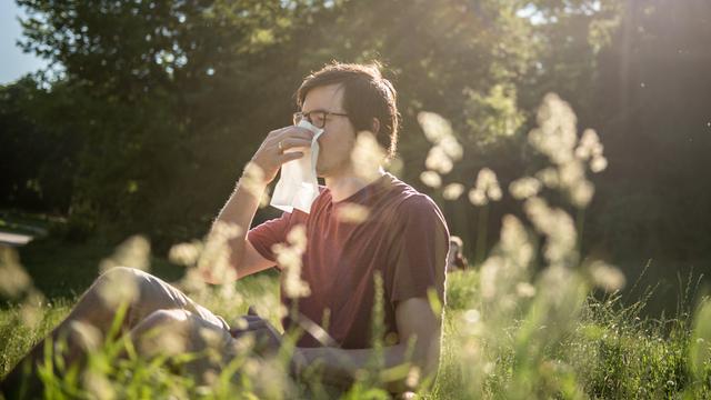 Ein Mann sitzt auf einer blühenden Wiese und niest in ein Taschentuch