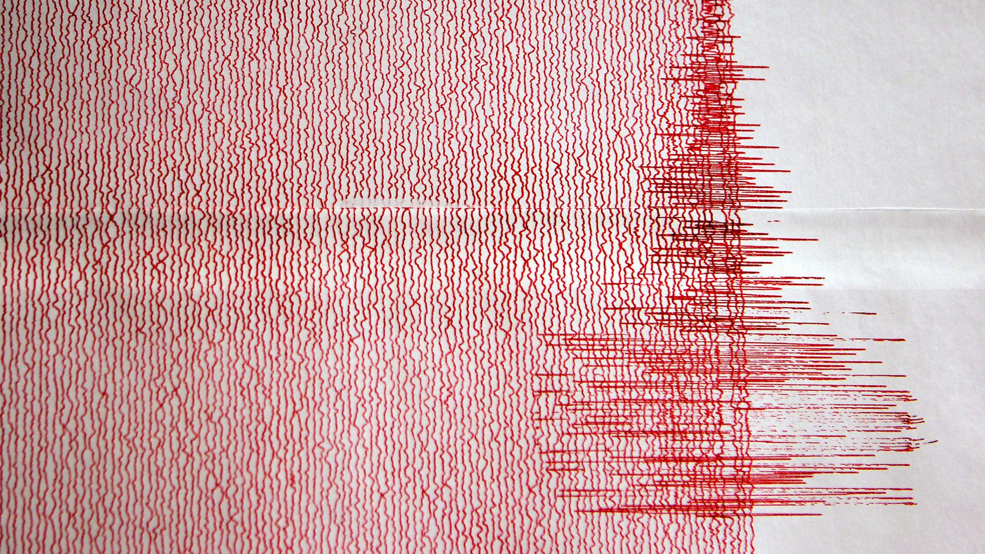 Ein weißes Blatt mit roten etwas verwackelten Linien. Sie liegen alle parallel nebeneinander. Rechts im Bild sieht diese verwackelte Linie ganz anders aus, sie reißt immer wieder nach rechts und links aus.
