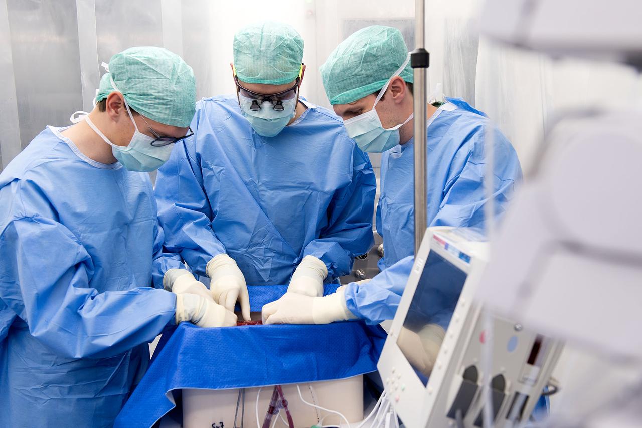 Züricher Wissenschaftler schließen eine Spenderleber im Reinraum an ihre neu entwickelte Perfusionsmaschine an. Züricher Wissenschaftler schließen eine Spenderleber im Reinraum an ihre neu entwickelte Perfusionsmaschine an.