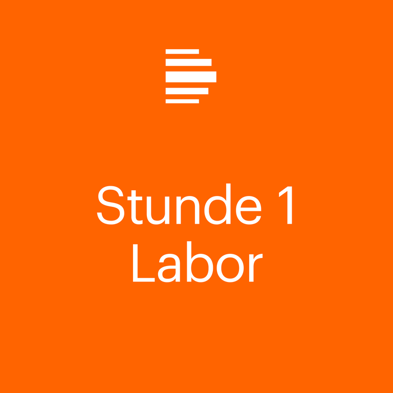 Stunde 1 Labor Podcast Cover