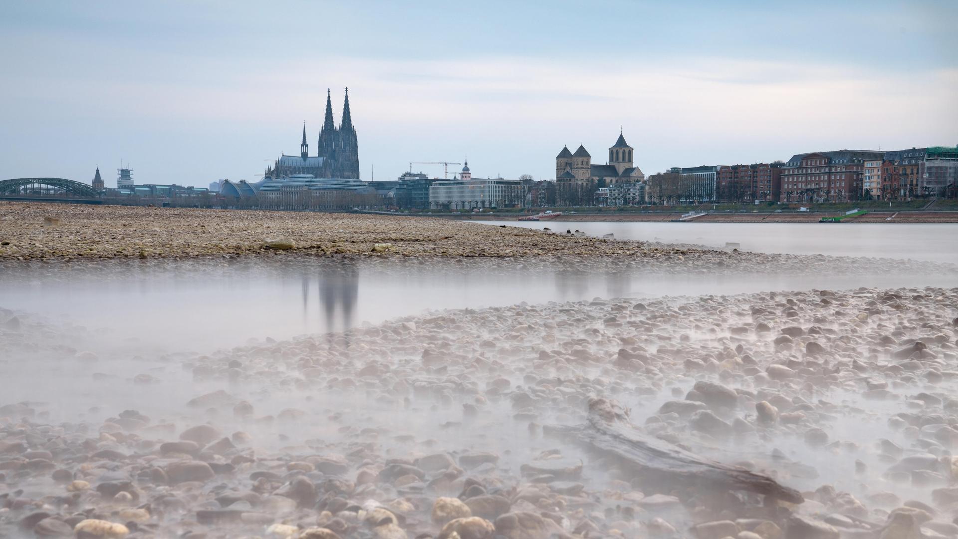 Niedrigwasser durch Dürre im Rhein bei Köln. Im Hintergrund ist leicht unscharf der Kölner Dom zu sehen.