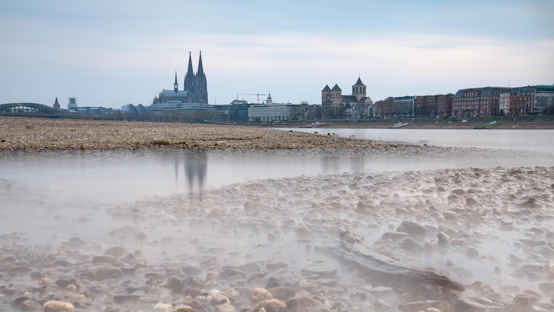 Der Rhein bei Köln hat nur noch wenig Wasser. Der Rhein bei Köln hat nur noch wenig Wasser.