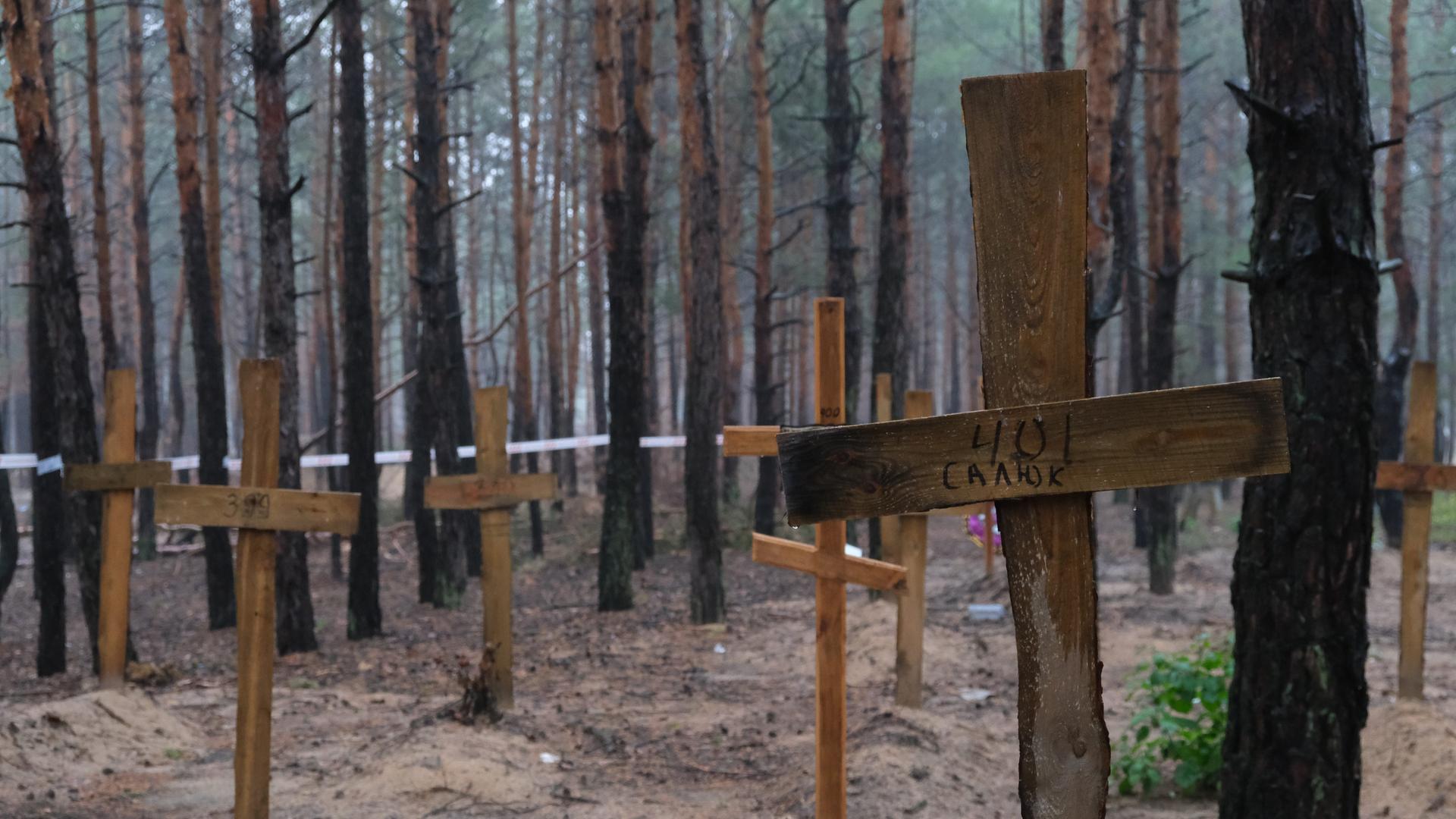 Holzkreuze stehen in einem Waldstück bei Isjum/ Ukraine. Holzkreuze stehen in einem Waldstück bei Isjum/ Ukraine.