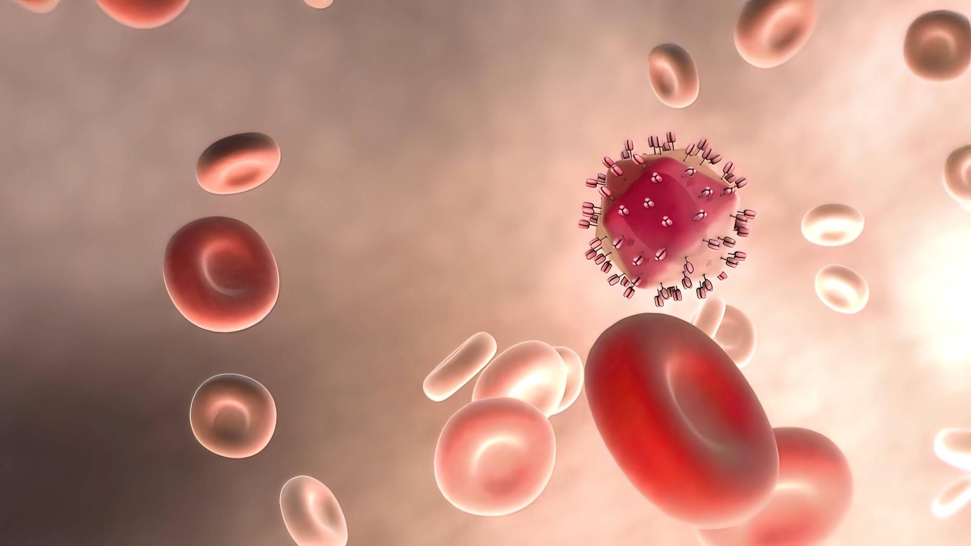 Die Reise des Hepatitis A Virus durch das Blut nachgebildet in einer Illustration mit roten Teilchen. 