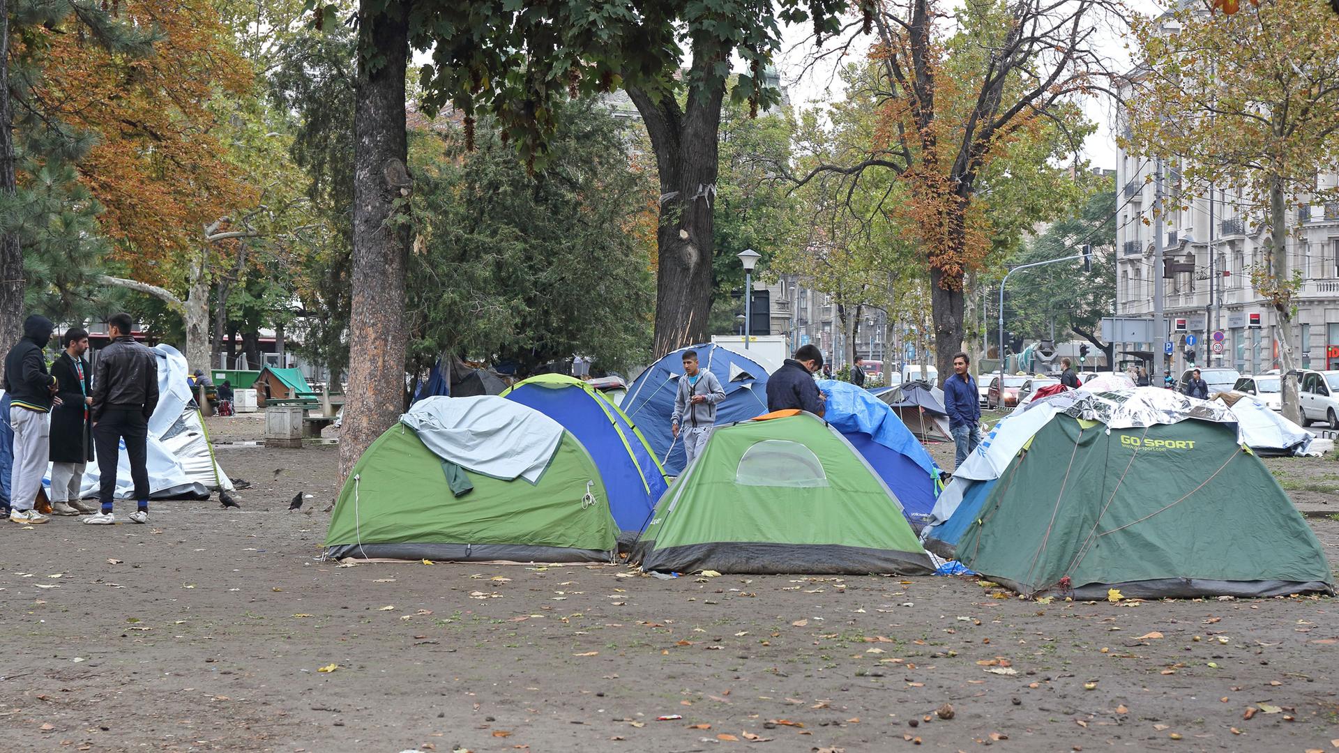 Flüchtlinge haben in der serbischen Hauptstadt Belgrad Zelte aufgeschlagen. 